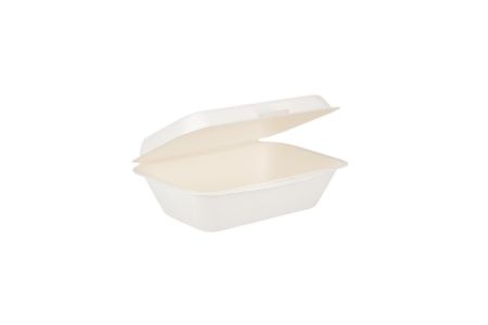 Bagasse Compostable Food Boxes 7x5 Inch White