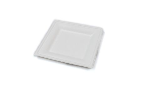 Compostable Square Bagasse Plate 20x20cm White