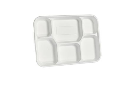 Compostable 6 compartment Bagasse Plate White