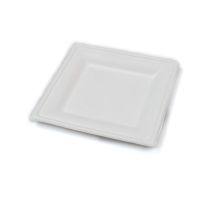 Compostable Square Bagasse Plate 20x20cm White